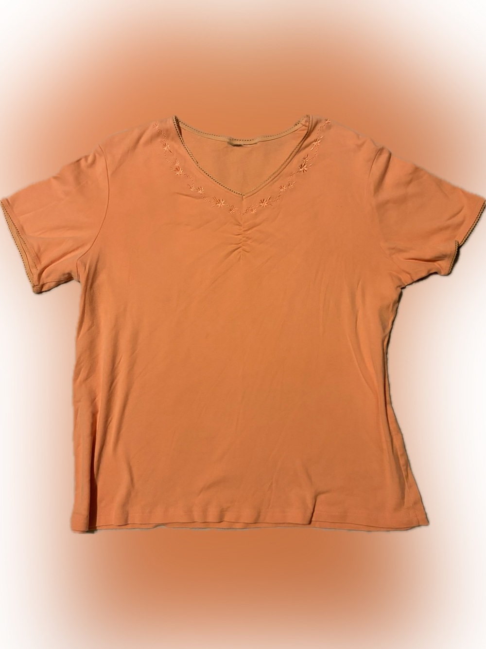 VINTAGE Women's Short-Sleeve Embroidered V-Neck Top